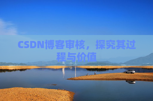 CSDN博客审核，探究其过程与价值