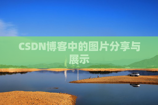 CSDN博客中的图片分享与展示
